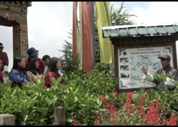 Bhutan steps up efforts to meet 2035 organic farming goal